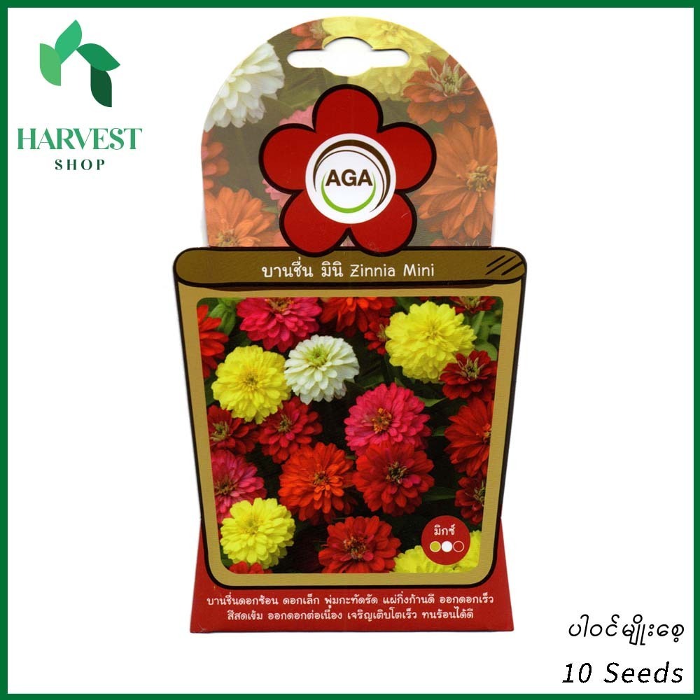Harvest Shop ဒေါင်းဖန်ဝါအသေးမျိုးစေ့ A 021