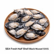 Sea Fresh Half Shell Black Mussel 500G