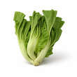 Chinese Green Mustard