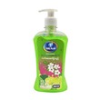 One Plus Hand Wash-Morning Garden 500ML