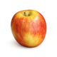 Jazz Apple 150-200G (French/USA)