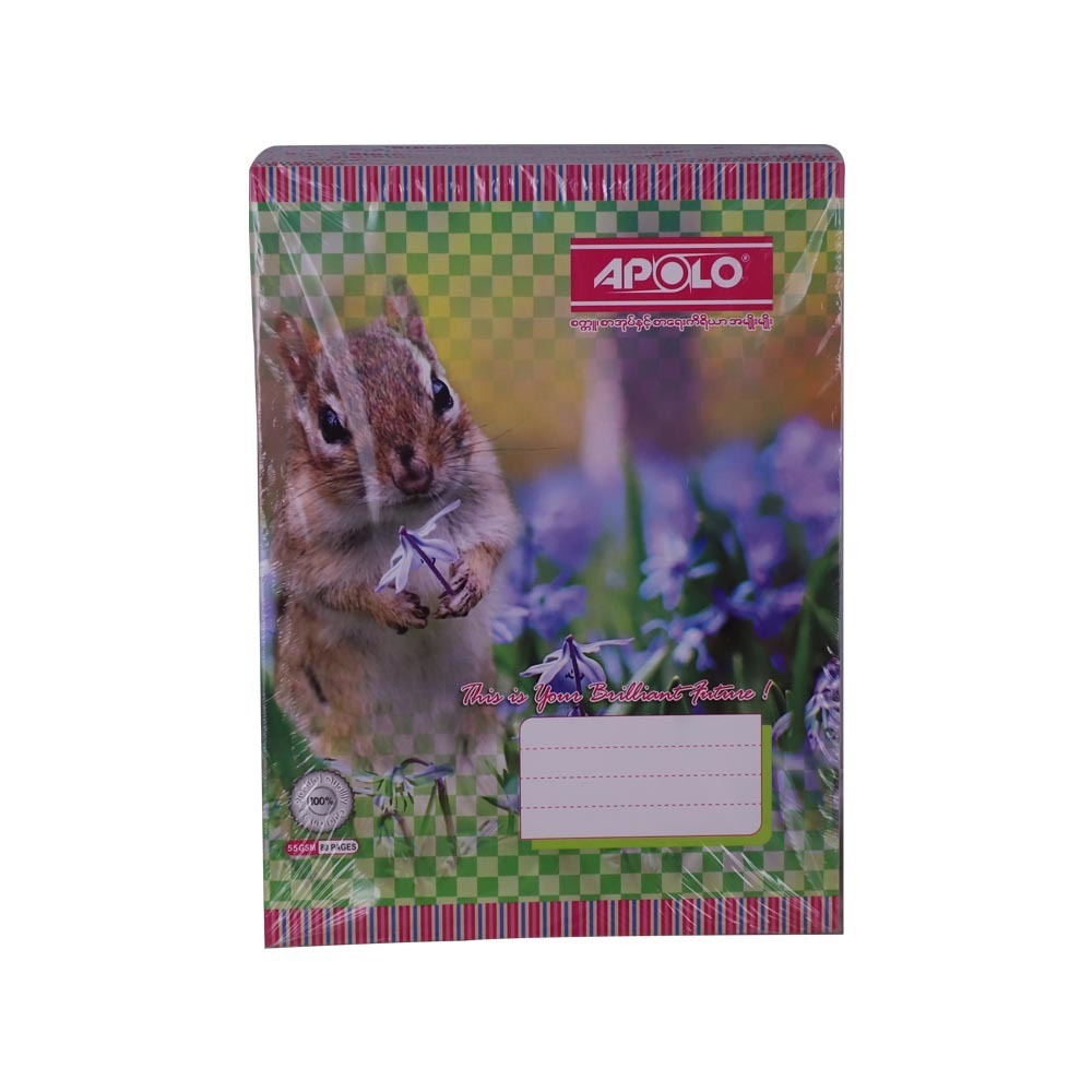 Apolo Exercise Book 55G P-80 12 PCS (Pro)