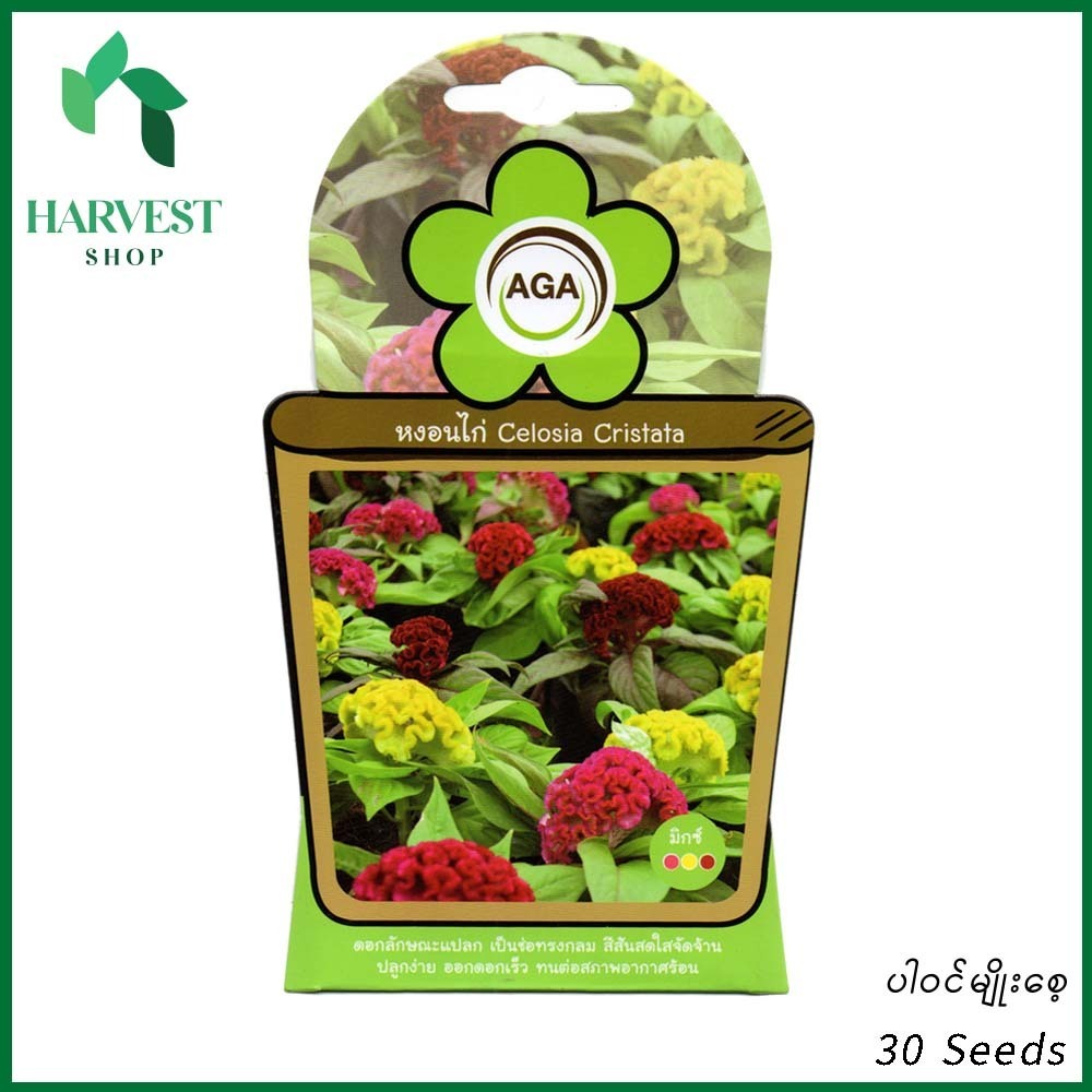 Harvest Shop ကြက်မောက်ကတ္တီပါမျိုးစေ့ A 018