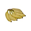 ငှက်ပျောသီး ဖီးကြမ်း (၆ လုံး)