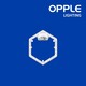 OPPLE OP-LED Module-E2-Rd249mm-24W-5700K-80 LED Module (OP-17-011)