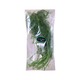 Fresco Dill 50G