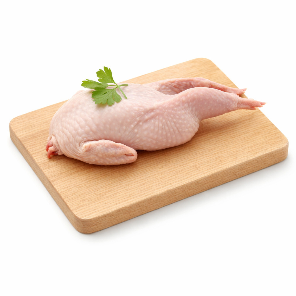 တောကြက်(MC)