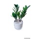 Plant City Kyauk Sein Akayit Plant With Ceramic Pot