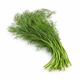 Fresco Dill 50G