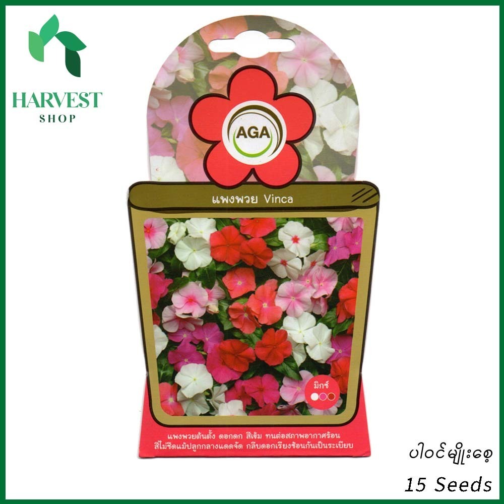 Harvest Shop ကညွတ်ပန်းမျိုးစေ့ A 010