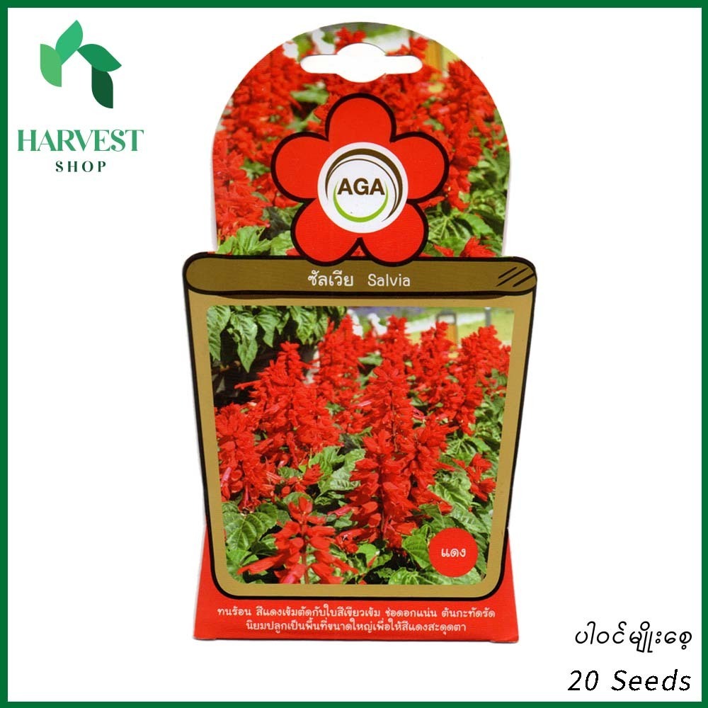 Harvest Shop ပင်စိမ်းပန်းနီမျိုးစေ့ A 014