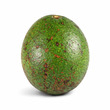 Avocado (Booth 7/Buccaneer)