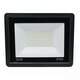 Floodlight (50W, 6500K, 165-265V)
