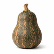 Pumpkin Lantern Shape (S)