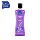 Beauty Clinic Lavender Shower Gel 500 ML Purple 6 291108 657553