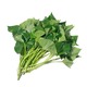 Sweet Potato Leaves 100G (Green&Purple)