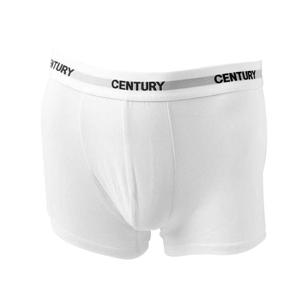 Century Trunk 2`S White Small No.004