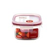 LBF450 Lock & Lock Module Bisfree Container Square 260ML
