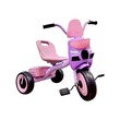 Baby Cele 606 3-Wheel Pedal Bike for Kids 10091