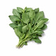 City Farm Holy Basil 30G