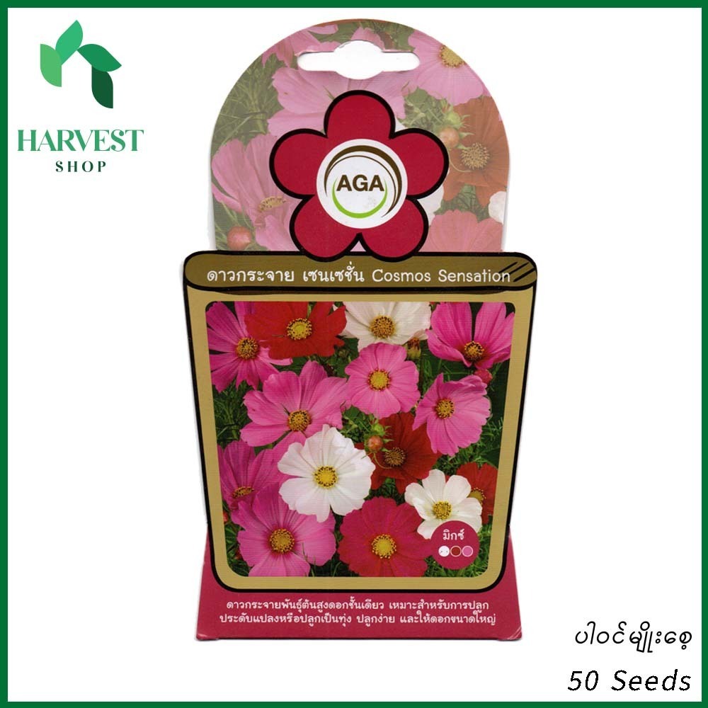 Harvest Shop စိန်ခြယ်ပန်းမျိုးစေ့ A 002