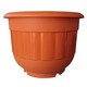 BABA BI-2017 Pot Cotta 9 x 6.5 IN
