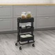Ikea Råshult Trolley, Black, 28x38x65 CM304.459.91