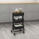 Ikea Råshult Trolley, Black, 28X38X65 CM304.459.91