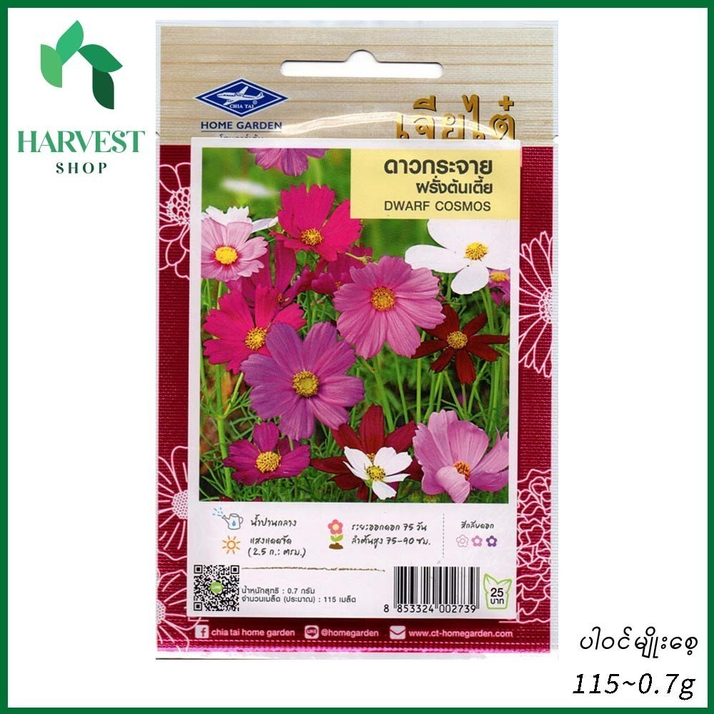 Harvest Shop စိန်ခြယ်ပန်းပင်ပုမျိုးစေ့ HF 016