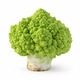 Romanesco