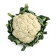 ရှမ်းပန်းဂေါ်ဖီ(400G-700G)