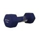 Richmoral Dumbbell 10LB