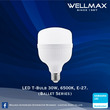 Wellmax Ballet Series LED T Bulb (E27) 30W L-BL-0600
