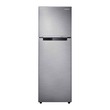 Samsung 2 Door Refrigerator 258L RT25FARBDS8/UN