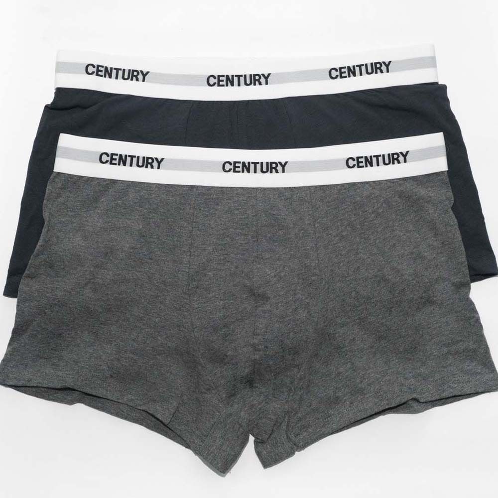 Century Trunk 2`S (XL) Gray No.002