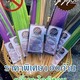 Beauty House Natural Lemongrass Mosquito Repellent Incense Sticks