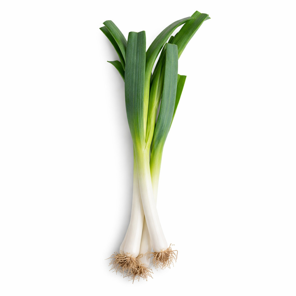 China Leek 500G