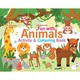 Fun With Animals Activity & Colouring