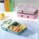 4 Compartment Lunch Box (Random)