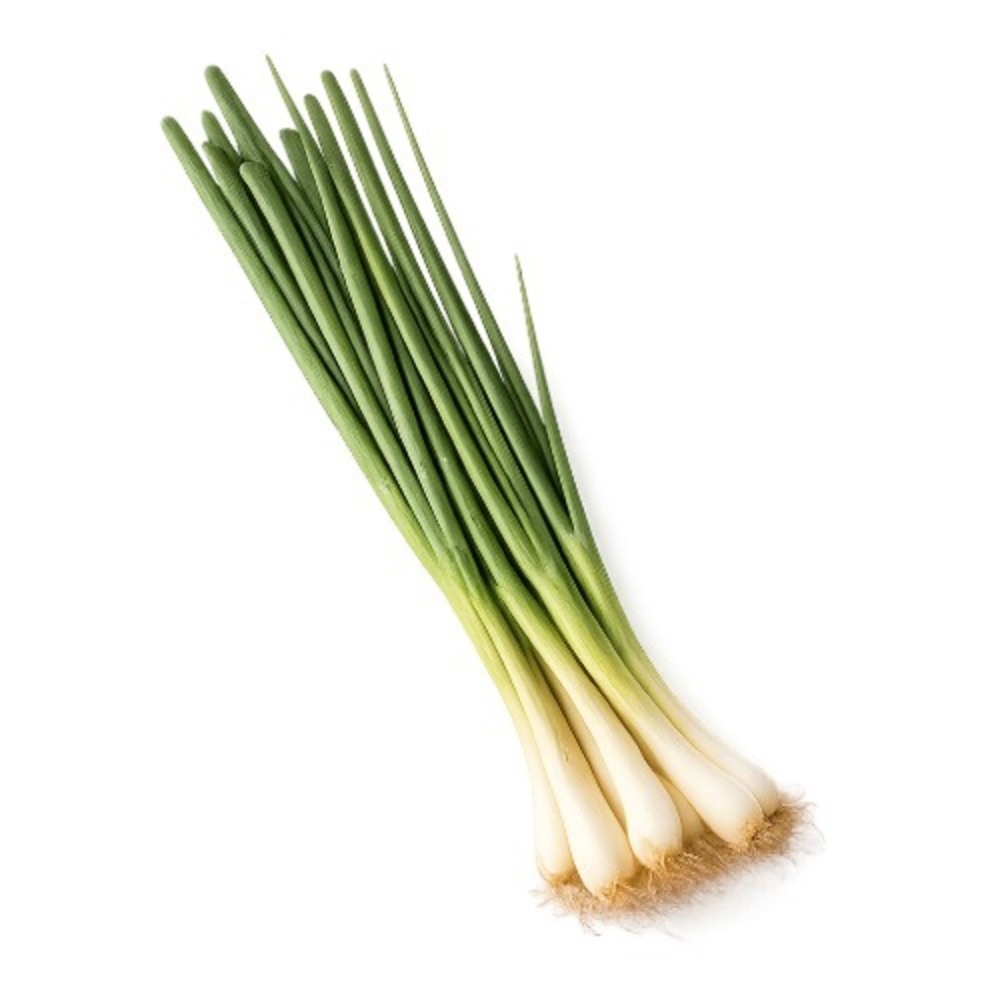 ကြက်သွန်မြိတ် (၁ စည်း)