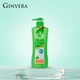 Ginvera Green Tea Pomelo Shampoo
Hair Moisturizer 750ML