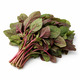Red Spinach 100G