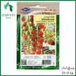 Harvest Shop ချယ်ရီခရမ်းချဉ်အဝိုင်းမျိုးစေ့ HTM 001