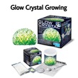 4M Glow Crystal Growing