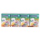 Dutch Mill Mixed Fruit Yoghurt Drink 90MLx4PCS