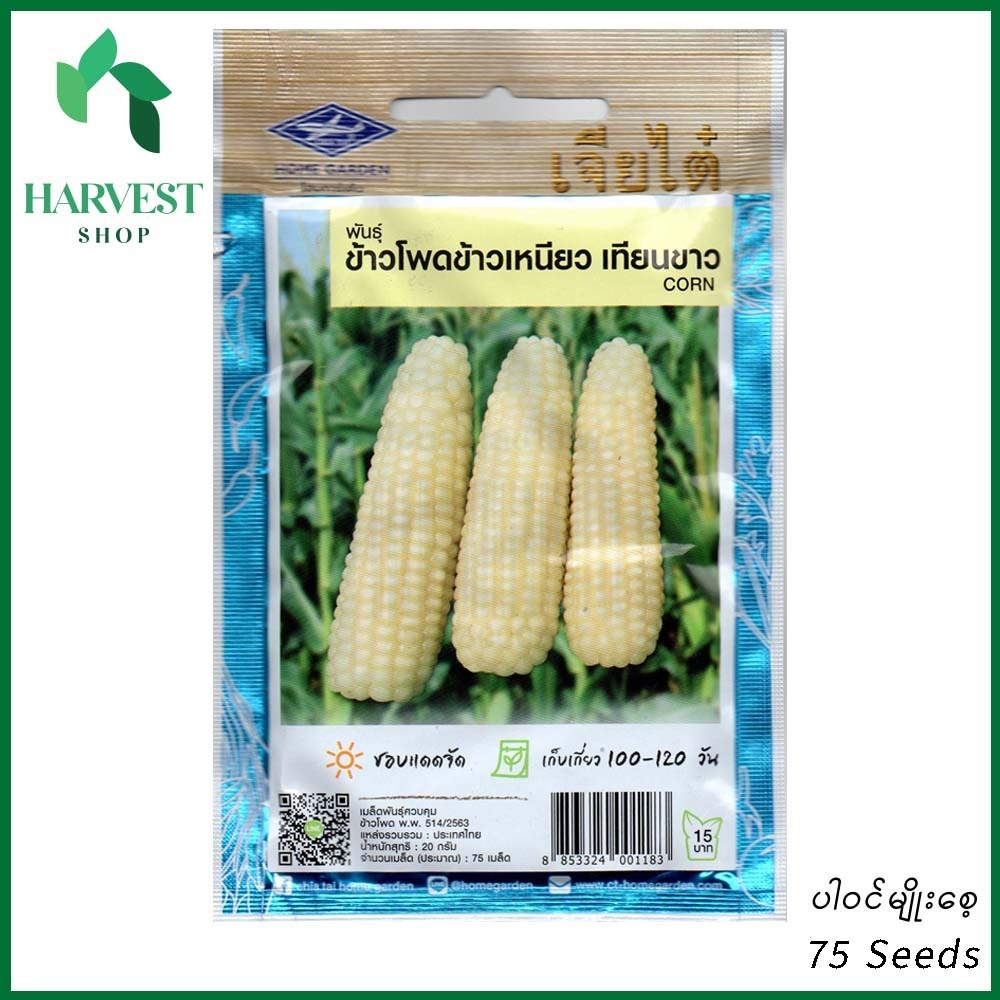 Harvest Shop ပြောင်းဖူးမျိုးစေ့ CN 005