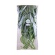 City Farm Green Spinach