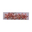 X`Mas Ornament Accs 6PCS LH100-23V82