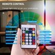 RGB Smart Ambience Floor Lamp Remote Control ESS-0000746