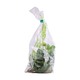 Sweet Potato Leaves 100G (Green&Purple)